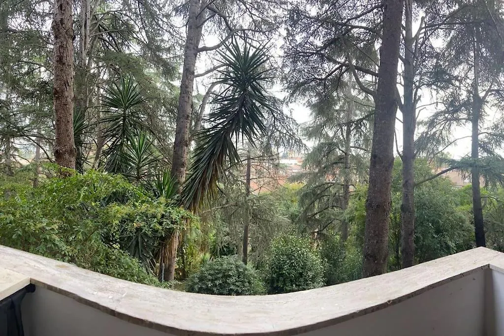 Eur Trepini Luxury Loft Apartment Rome Italy